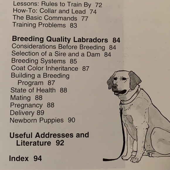 🔥4/$25🔥Labrador retrievers manual - Picture 5 of 9